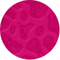 Fuxia