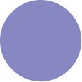 New Jacaranda