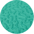 Reef