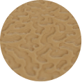 Sand
